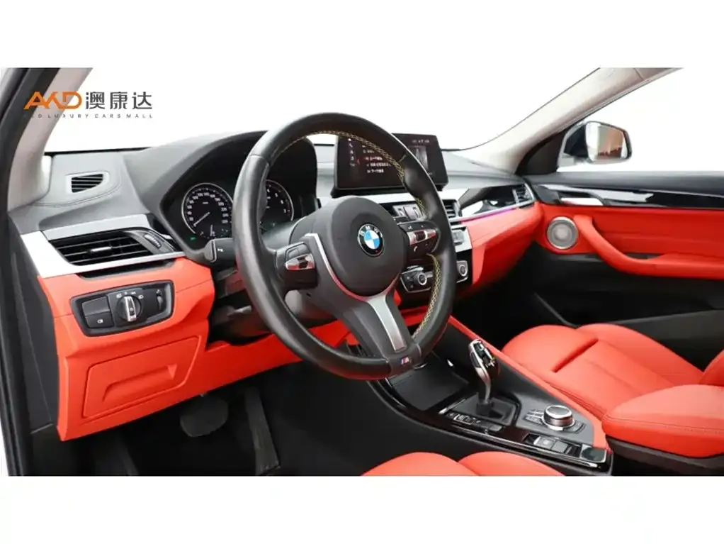 BMW X2 2024 из CN, фото 6