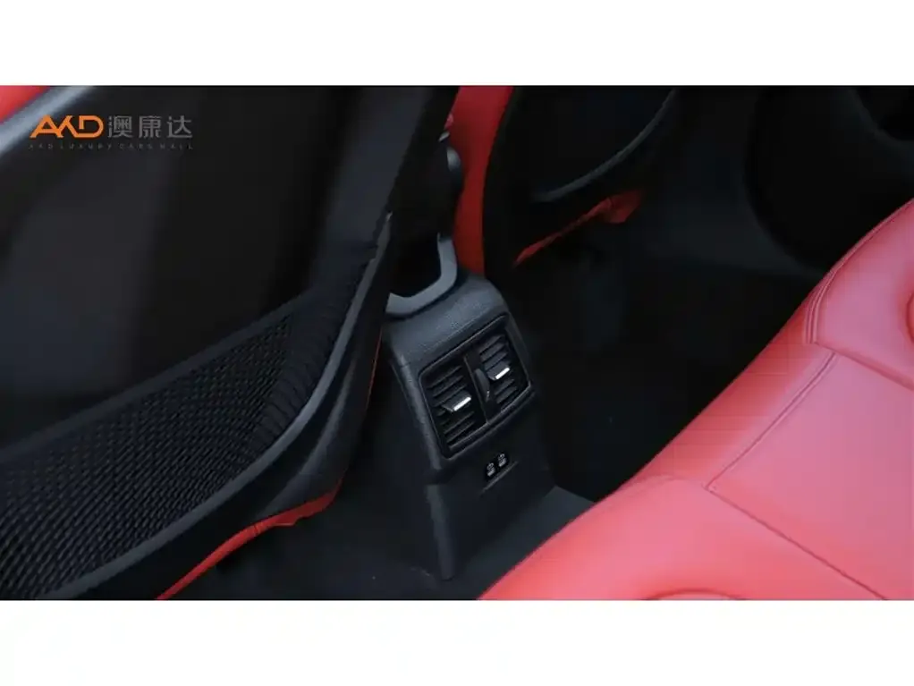 BMW X2 2024 из CN, фото 7
