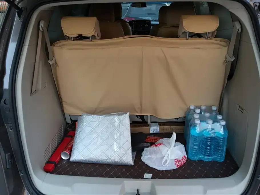 Buick GL8 2022 из CN, фото 10