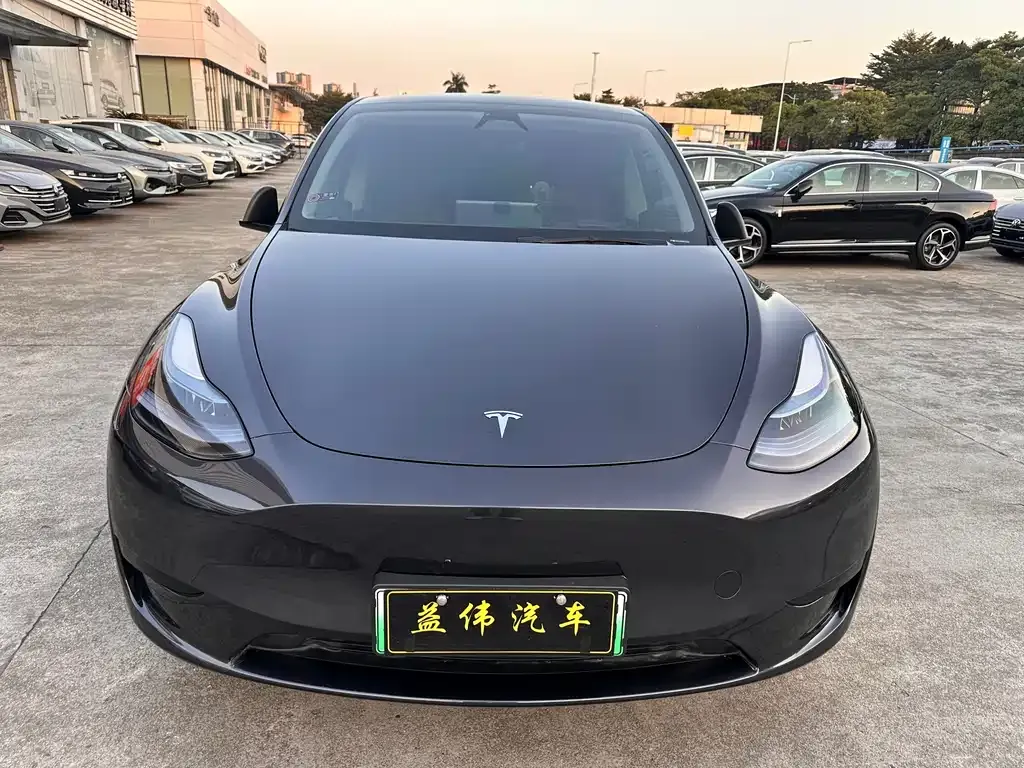Tesla Model Y 2024 из CN, фото 2