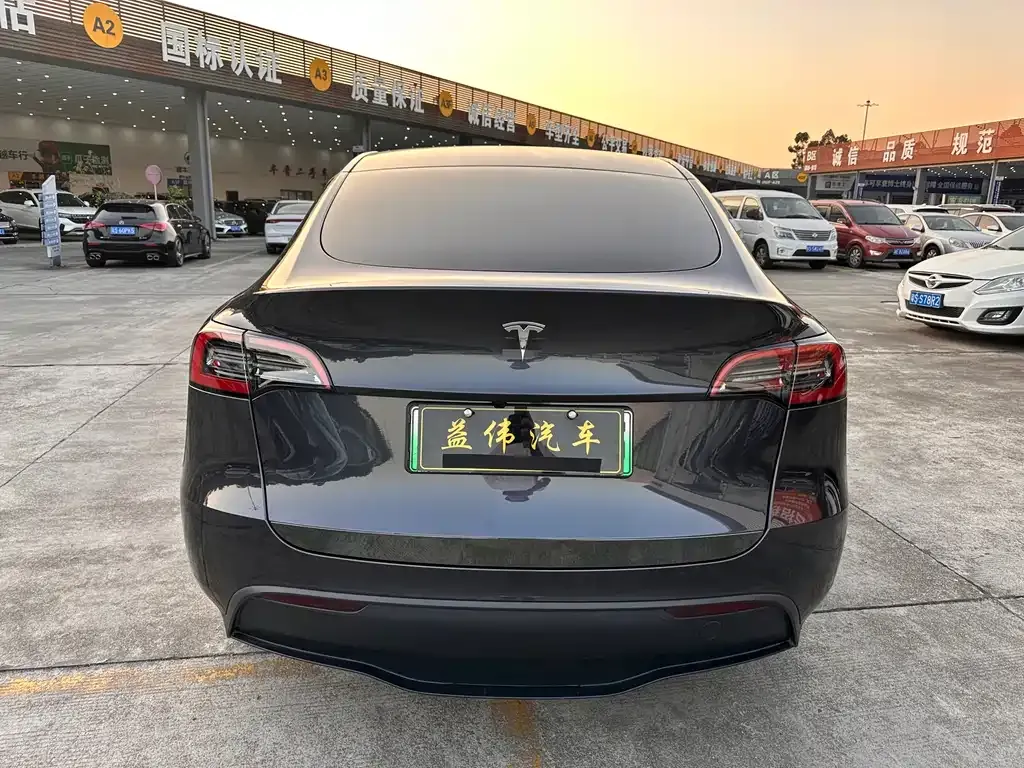 Tesla Model Y 2024 из CN, фото 7