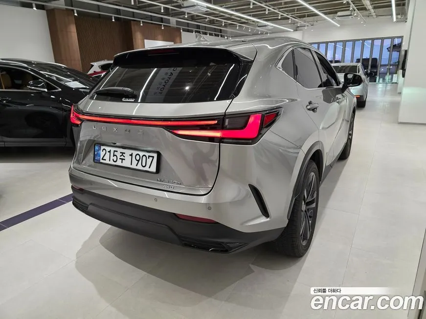 Lexus NX 2025 из KR, фото 5