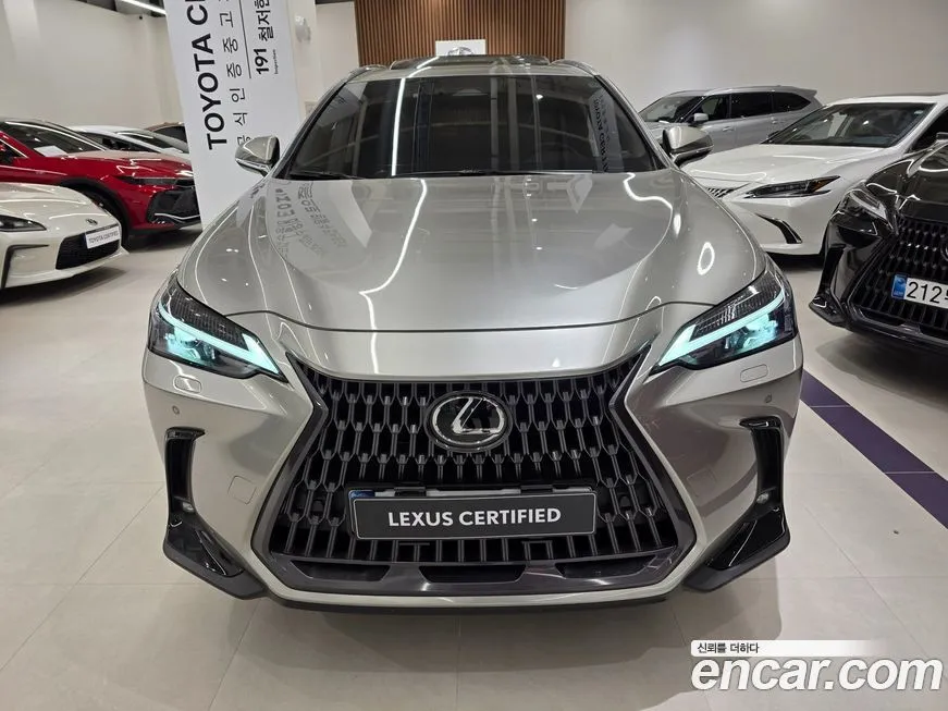 Lexus NX 2025 из KR, фото 4