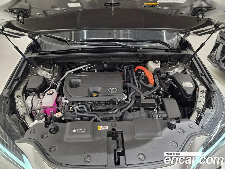 Lexus NX 2025 из KR, фото 9