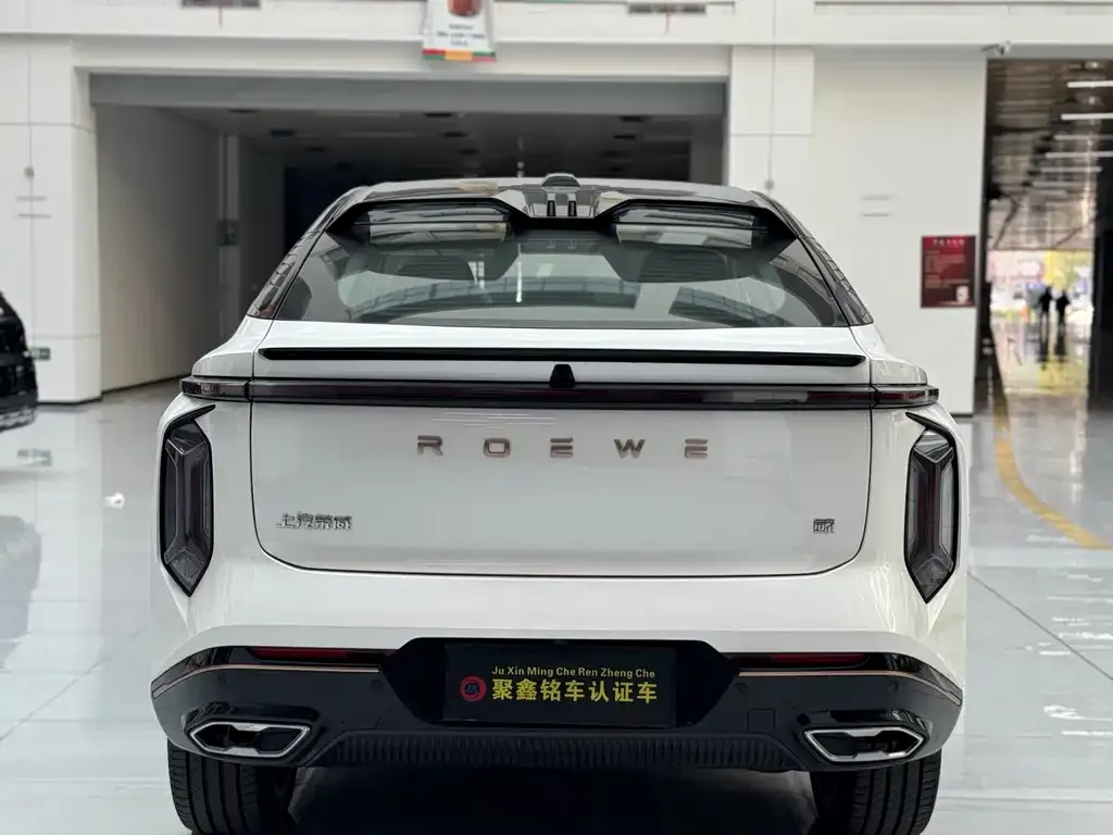 Roewe Whale 2024 из CN, фото 6
