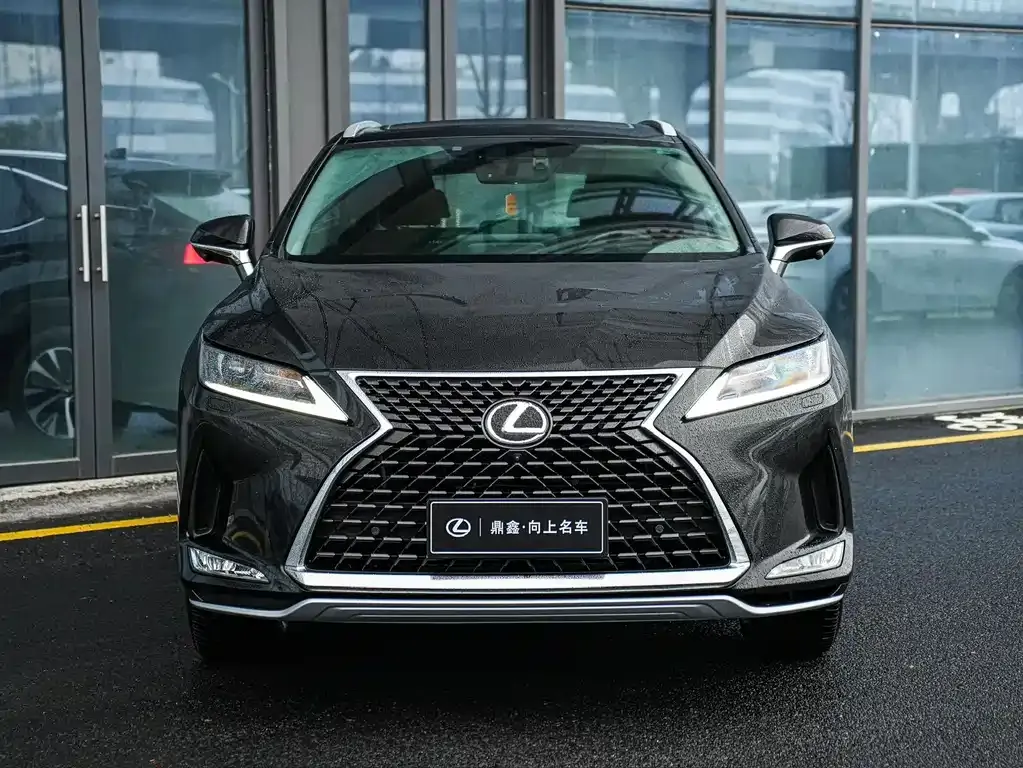 Lexus RX — фото 10