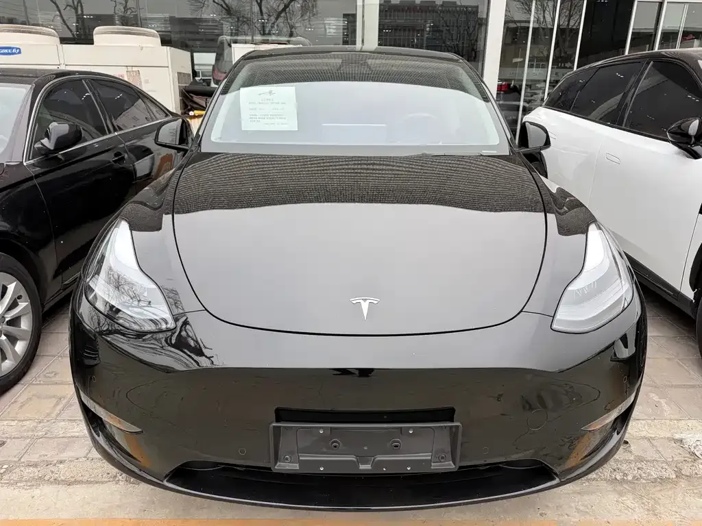 Tesla Model Y — фото 7
