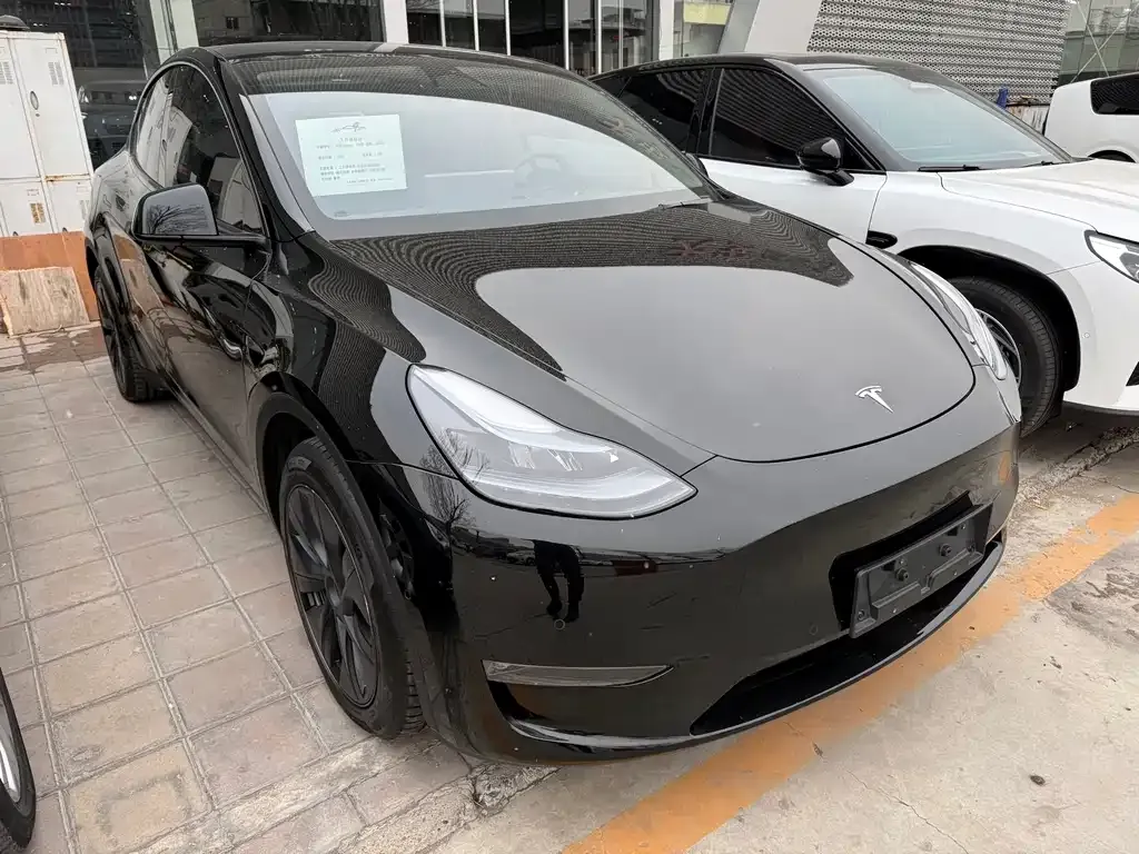 Tesla Model Y — фото 9