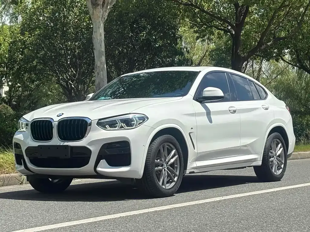 BMW X4 2021 из CN, фото 1