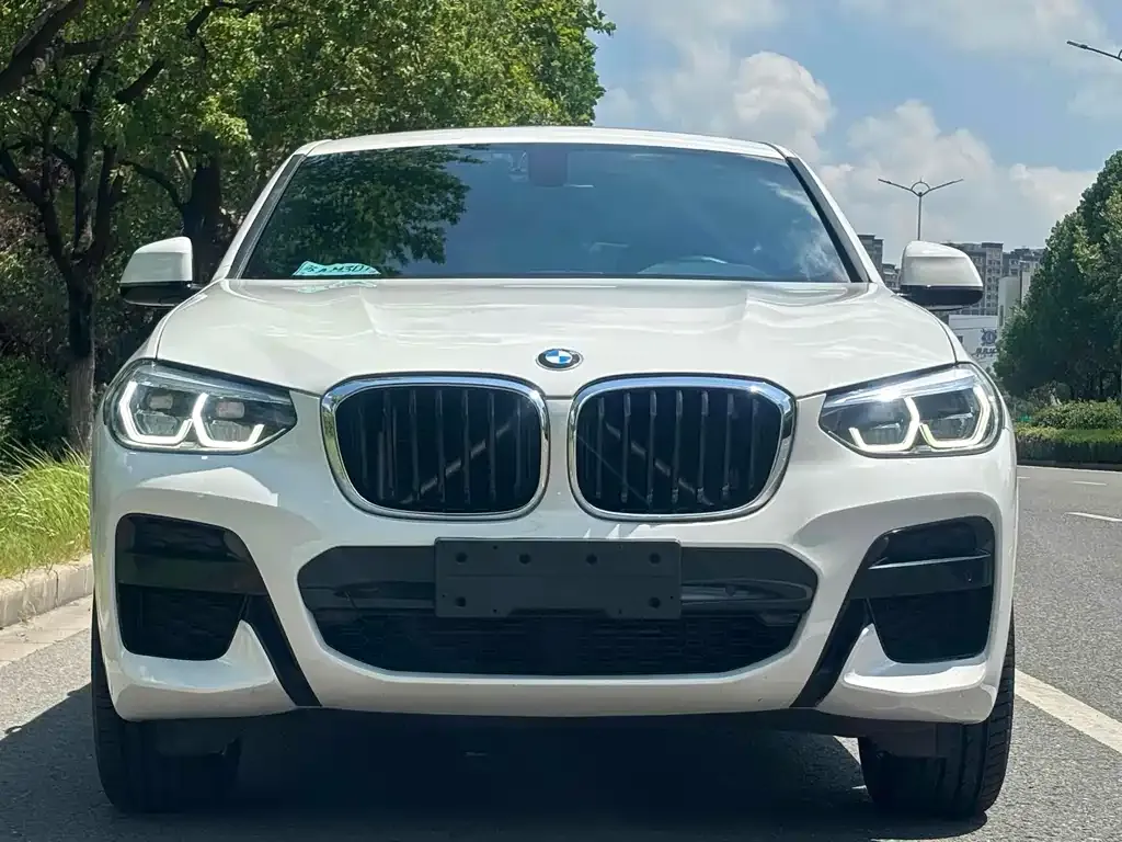 BMW X4 2021 из CN, фото 2