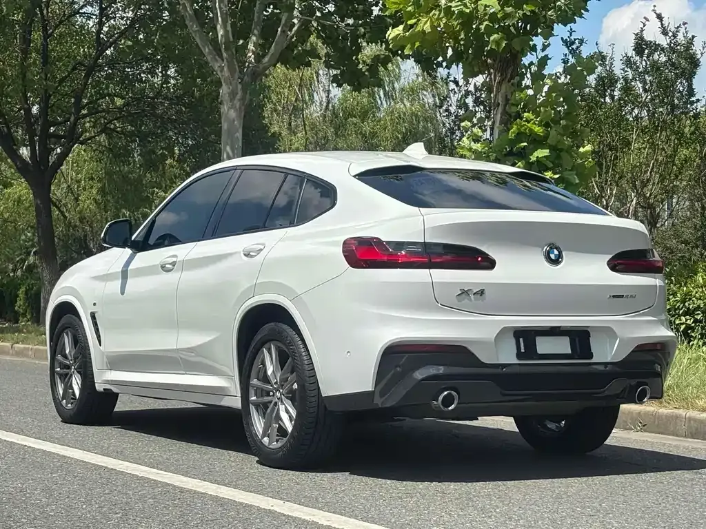 BMW X4 2021 из CN, фото 6