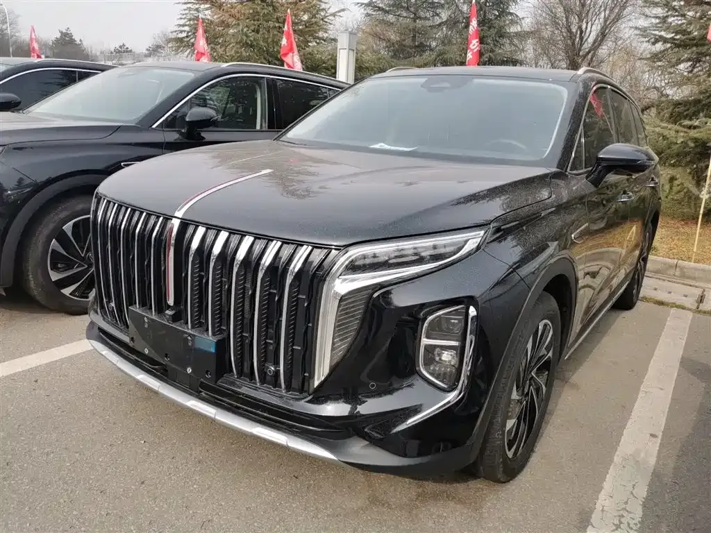 Hongqi HS7 PHEV 2024 из CN, фото 2