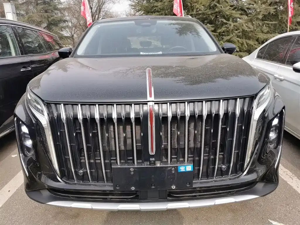 Hongqi HS7 PHEV 2024 из CN, фото 4