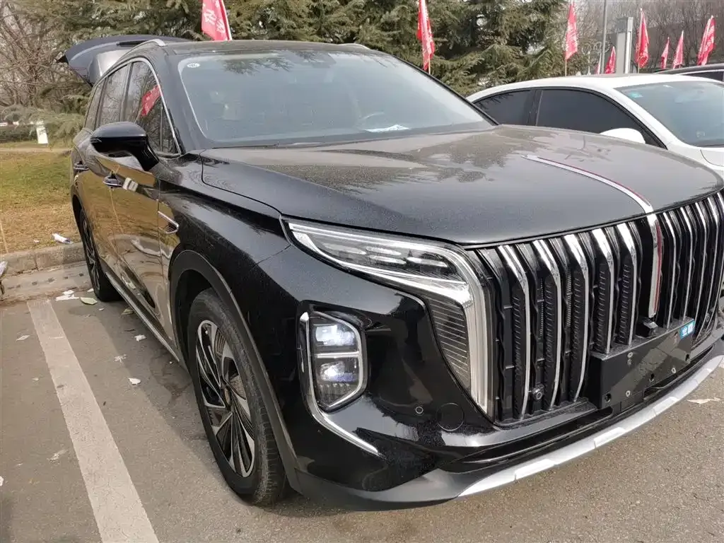 Hongqi HS7 PHEV 2024 из CN, фото 8