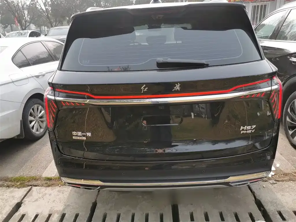Hongqi HS7 PHEV 2024 из CN, фото 6