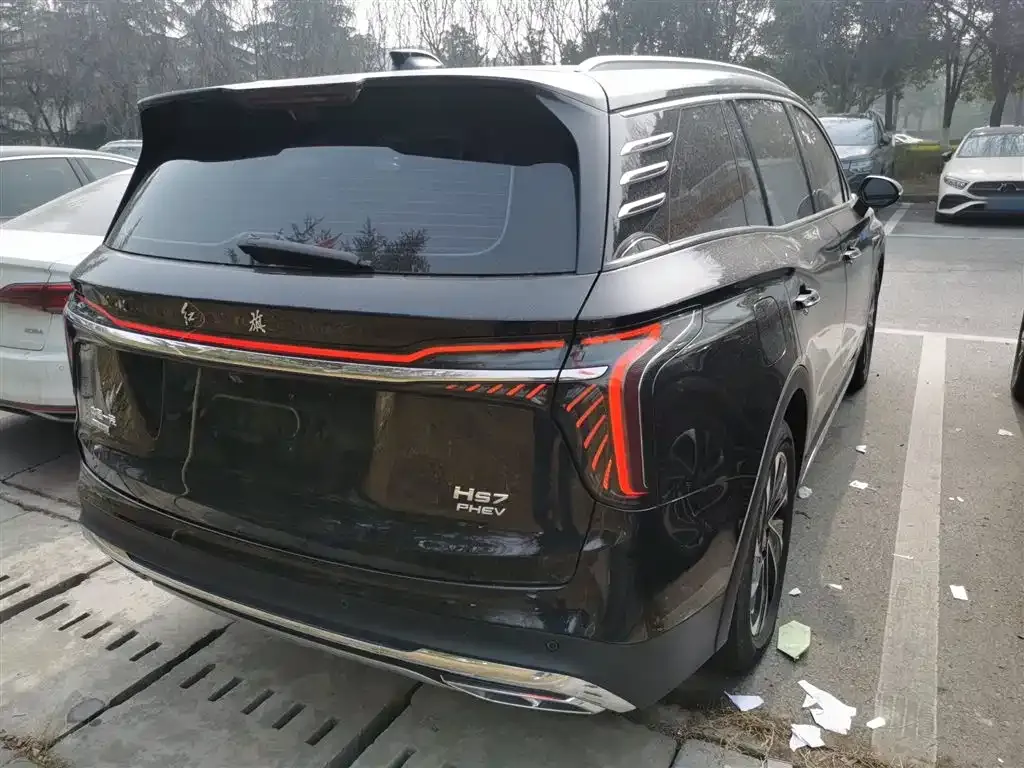 Hongqi HS7 PHEV 2024 из CN, фото 9