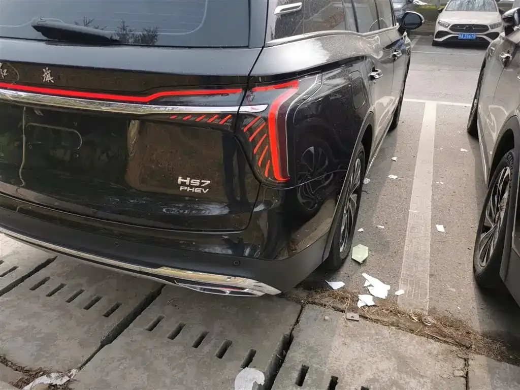 Hongqi HS7 PHEV 2024 из CN, фото 10