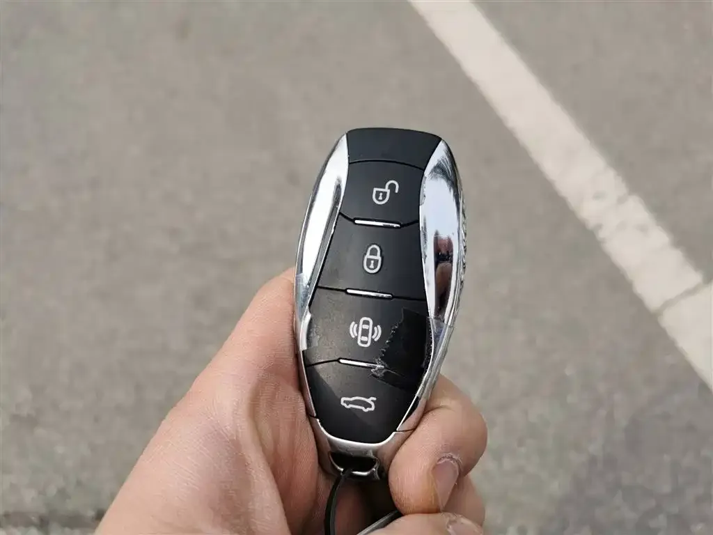 Hongqi HS7 PHEV 2024 из CN, фото 5