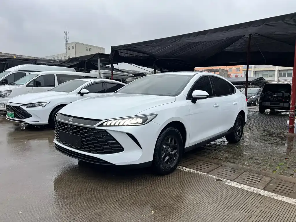 BYD Qin PLUS — фото 1