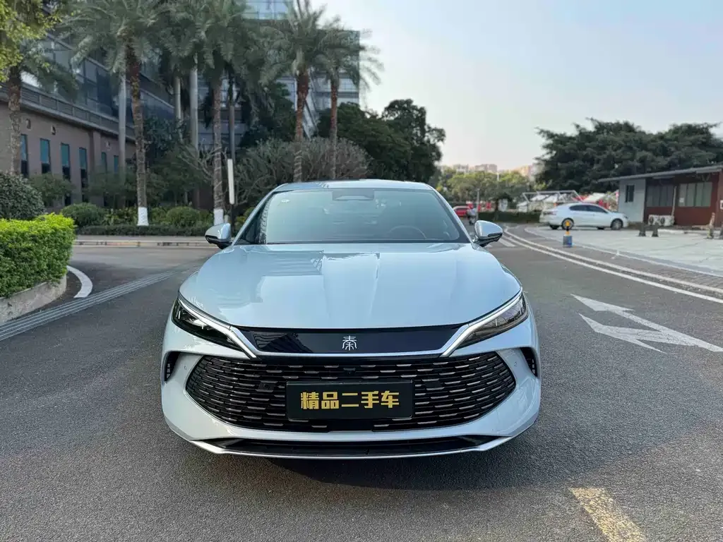 BYD Qin L 2025 из CN, фото 10