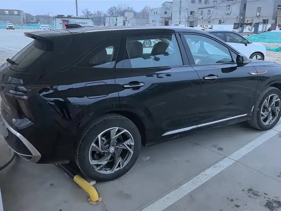 Hongqi HS3 PHEV 2025 из CN, фото 6