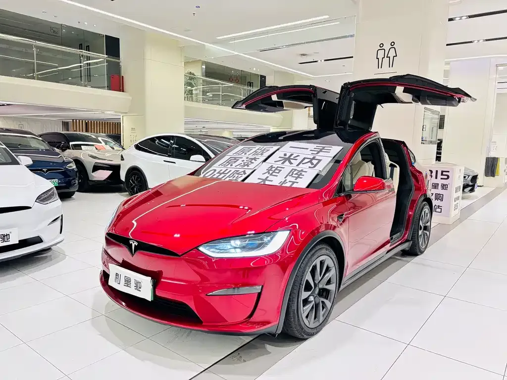 Tesla Model X 2024 из CN, фото 8