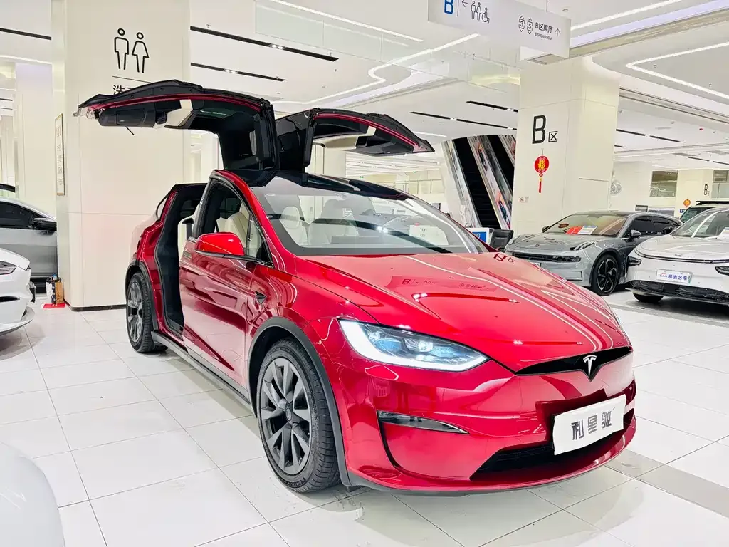 Tesla Model X 2024 из CN, фото 5