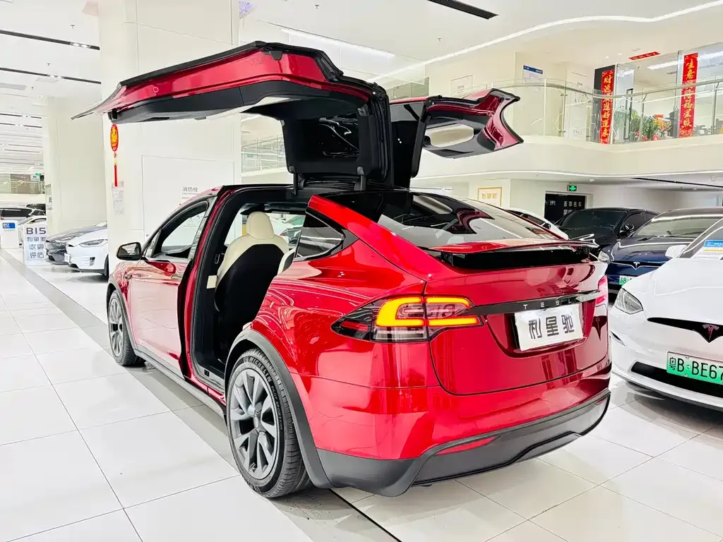 Tesla Model X 2024 из CN, фото 9