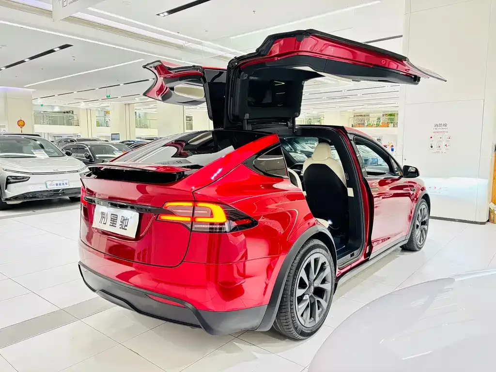 Tesla Model X 2024 из CN, фото 7