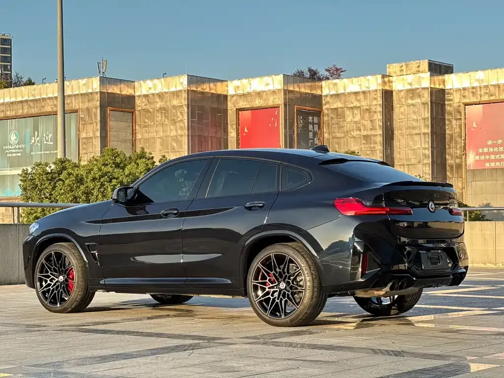 BMW X4 M — фото 10
