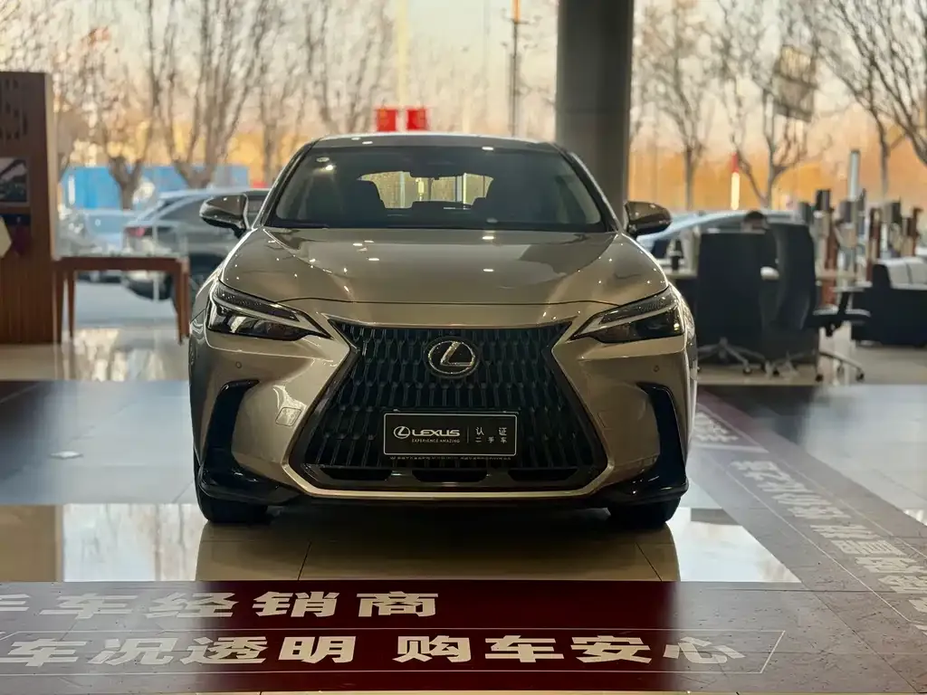 Lexus NX 2023 из CN, фото 9
