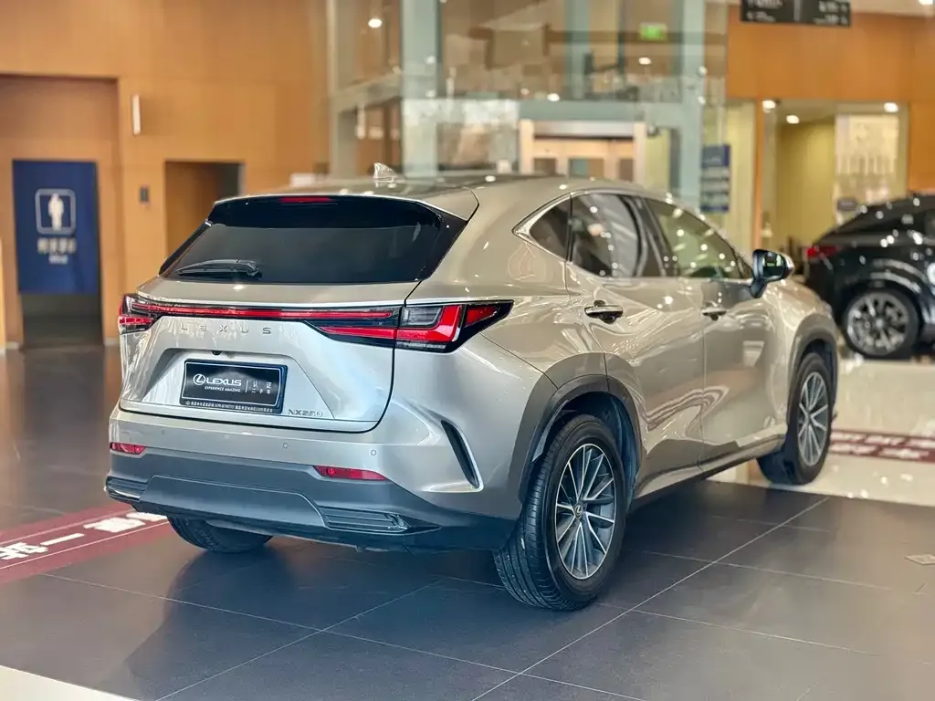 Lexus NX 2023 из CN, фото 8