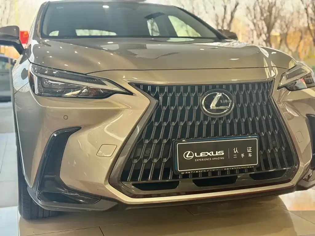 Lexus NX 2023 из CN, фото 7