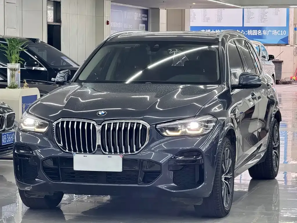 BMW X5 (Import) — фото 1