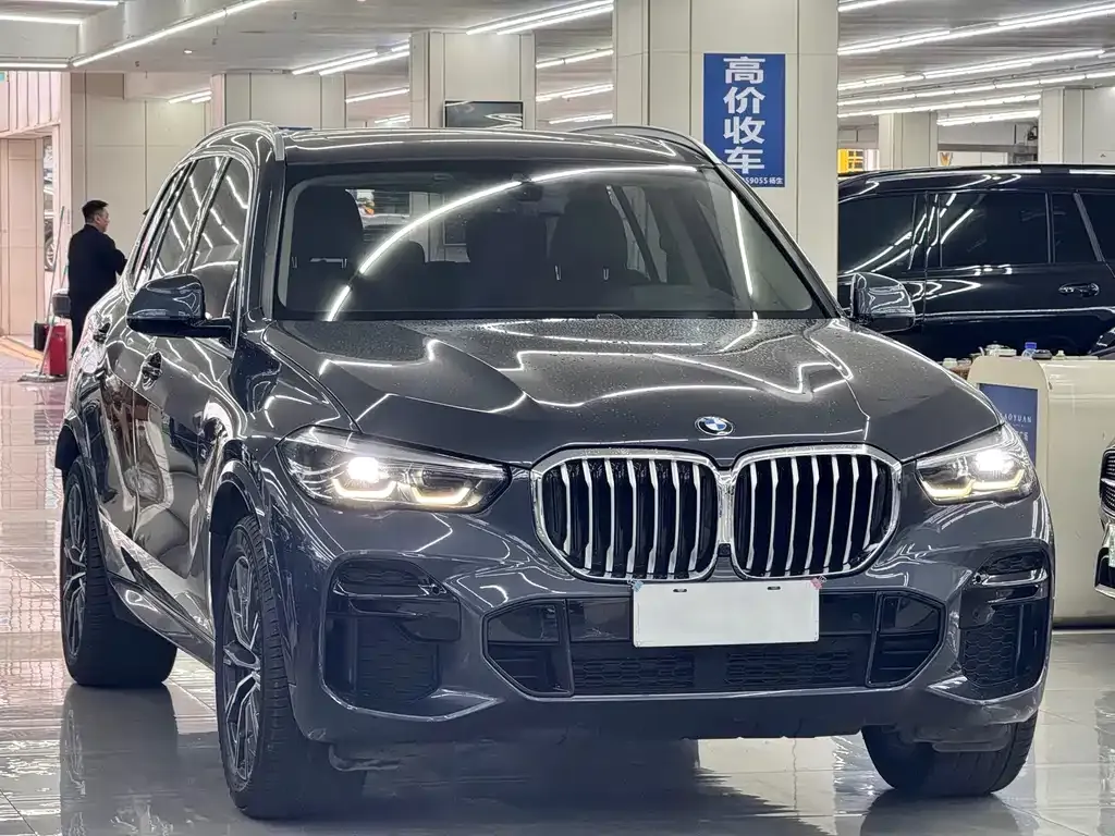 BMW X5 (Import) — фото 9