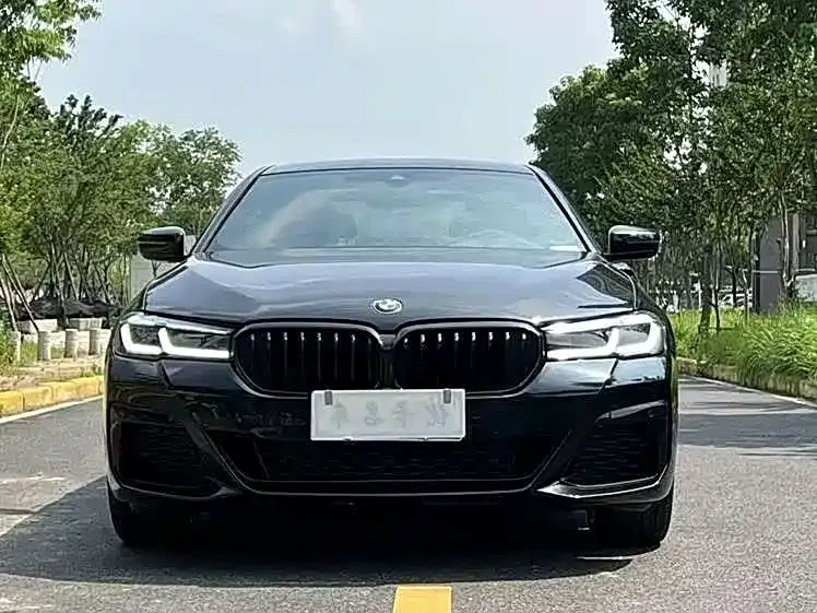 BMW 5 Series 2022 из CN, фото 9