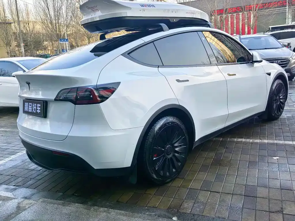 Tesla Model Y — фото 10