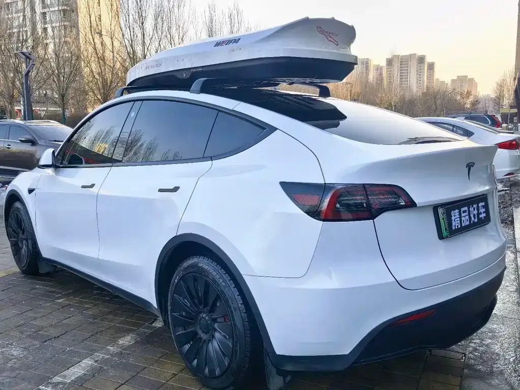 Tesla Model Y — фото 8
