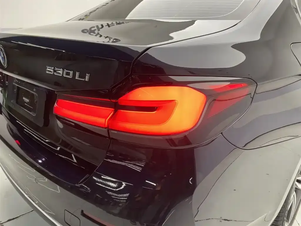 BMW 5 Series 2023 из CN, фото 8