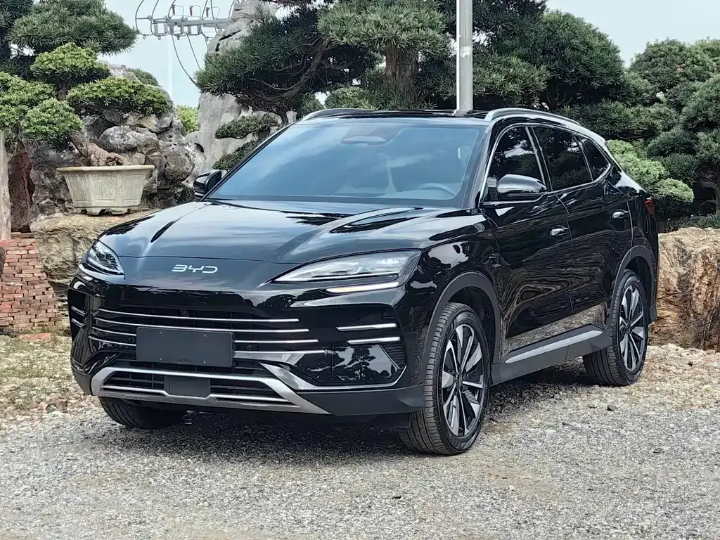 BYD PLUS New Energy — фото 1