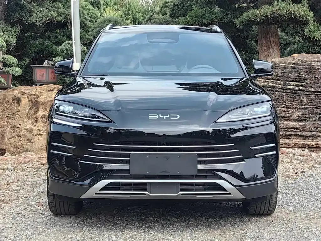 BYD PLUS New Energy — фото 10