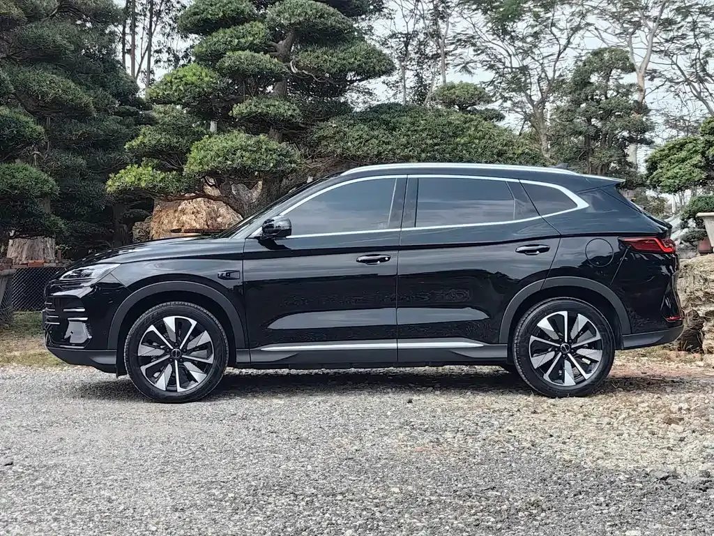BYD PLUS New Energy — фото 9