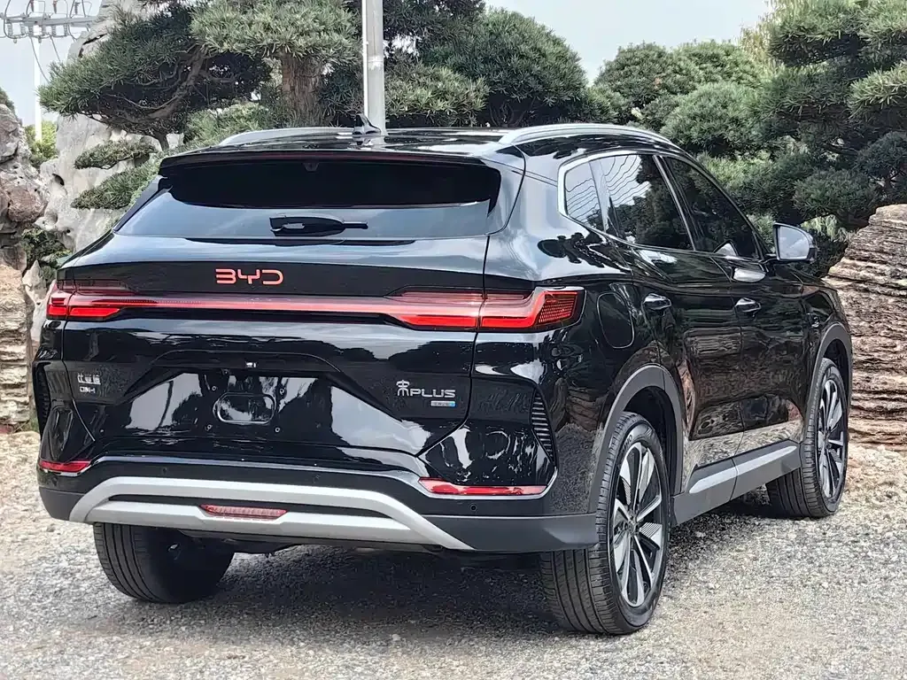 BYD PLUS New Energy — фото 8