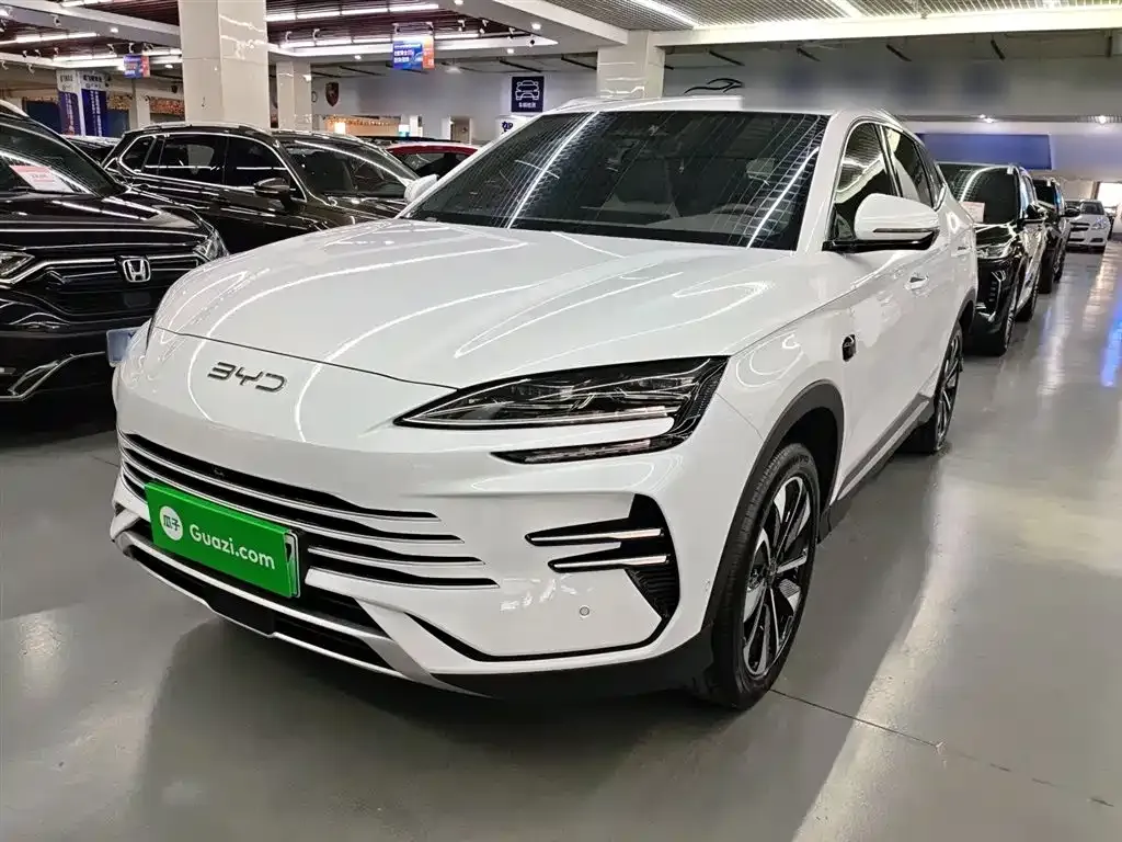 BYD PLUS New Energy 2025 из CN, фото 1
