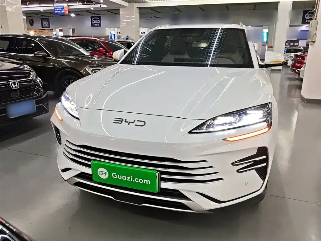 BYD PLUS New Energy 2025 из CN, фото 6