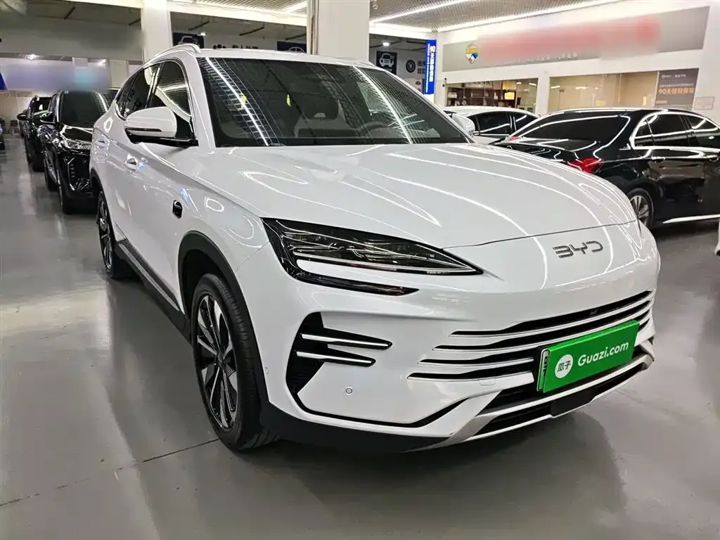BYD PLUS New Energy 2025 из CN, фото 7