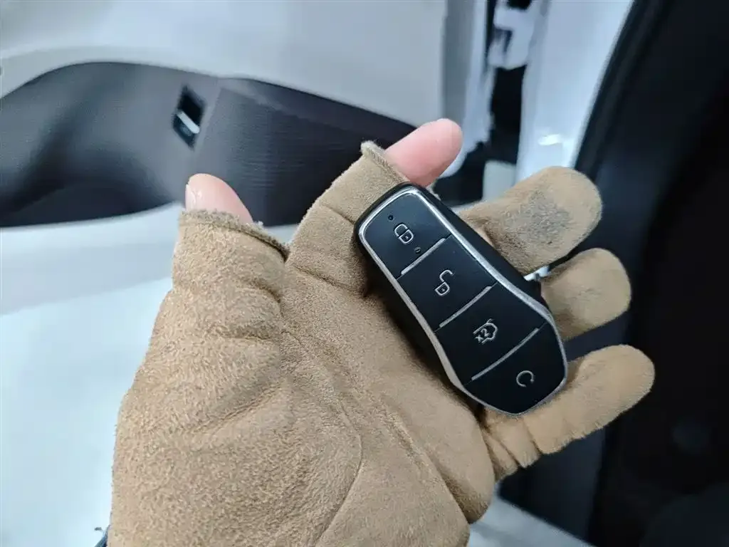 BYD PLUS New Energy 2025 из CN, фото 5