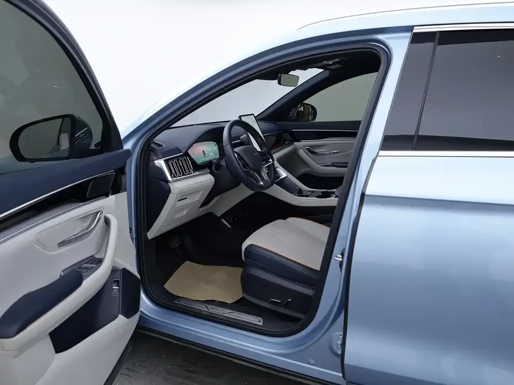 BYD PLUS New Energy 2023 из CN, фото 8