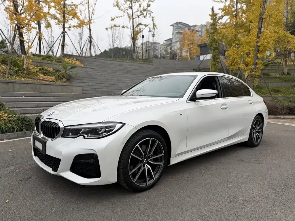 BMW 3 Series 2021 из CN, фото 6