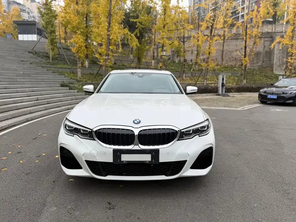 BMW 3 Series 2021 из CN, фото 9